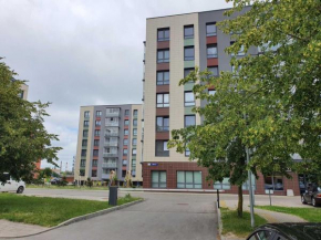 Modern apartments in a new building